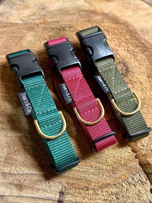 Every Day Adventure Dog Collar | Solid Brass Hardware