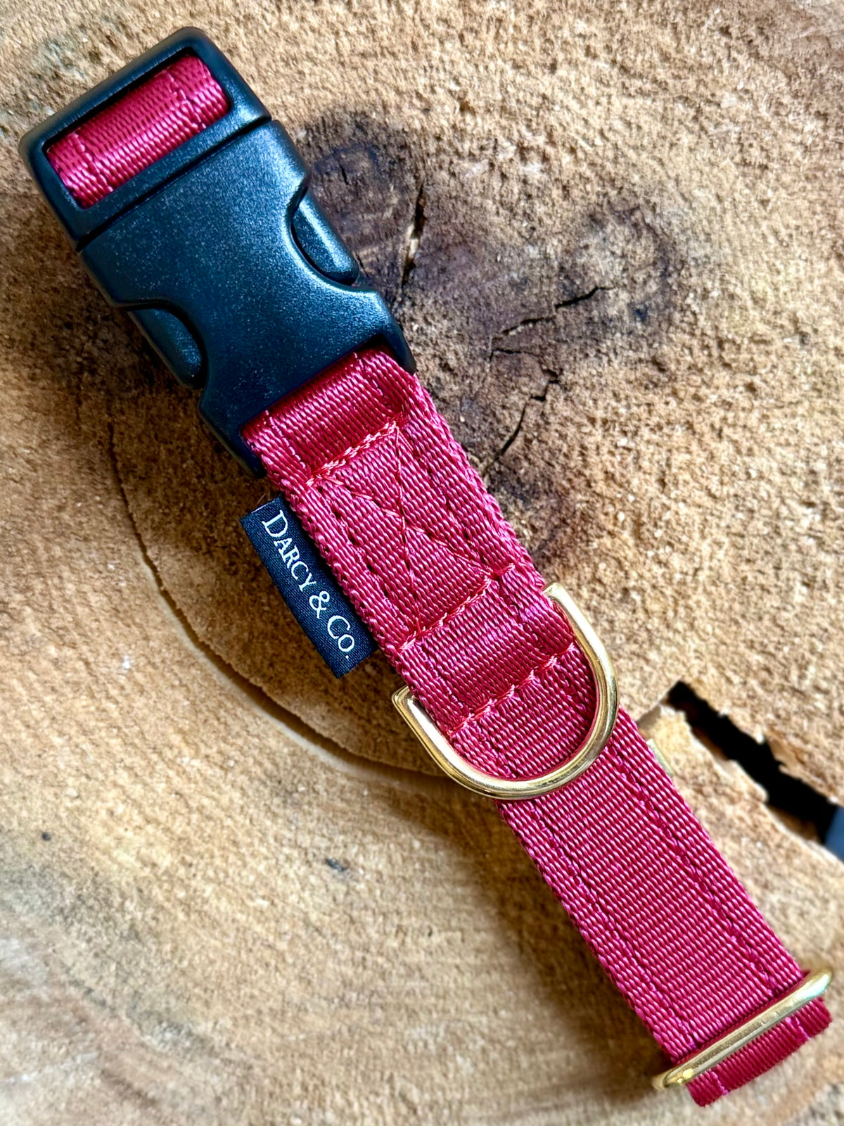 Smart Cushion Dog Collar | Solid Brass Hardware