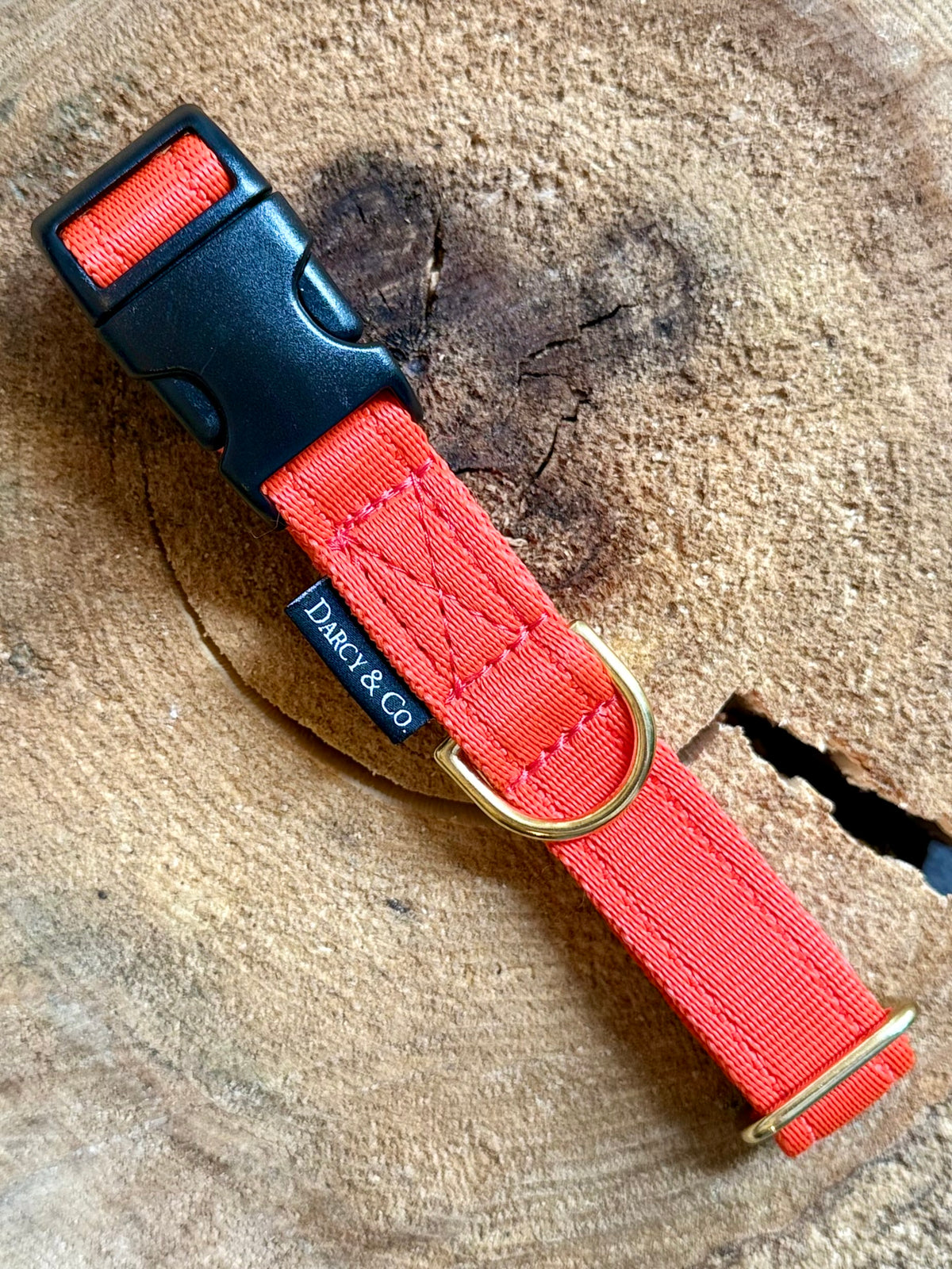 Smart Cushion Dog Collar | Solid Brass Hardware