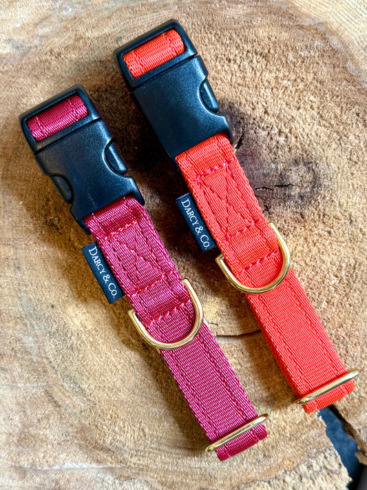 Smart Cushion Dog Collar | Solid Brass Hardware