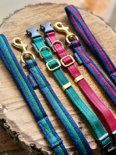 Smart Cushion Dog Collar | Solid Brass Hardware