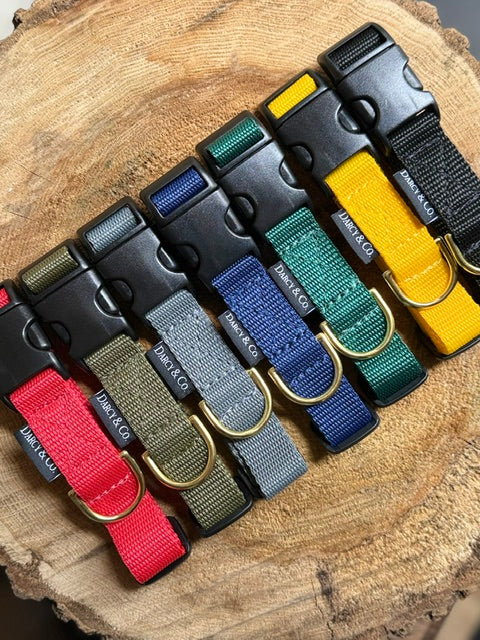 Every Day Adventure Dog Collar | Solid Brass Hardware
