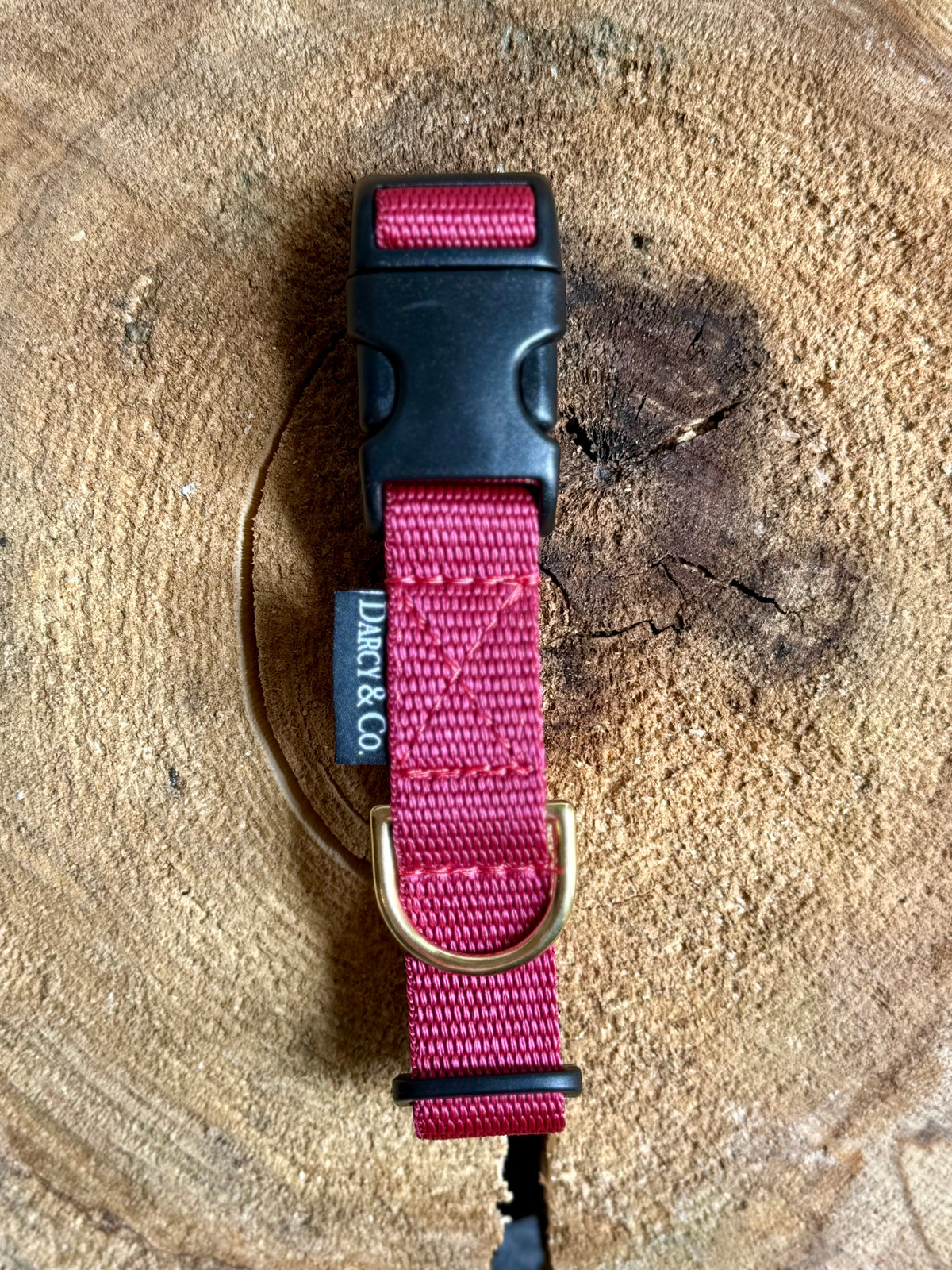 Every Day Adventure Dog Collar | Solid Brass Hardware