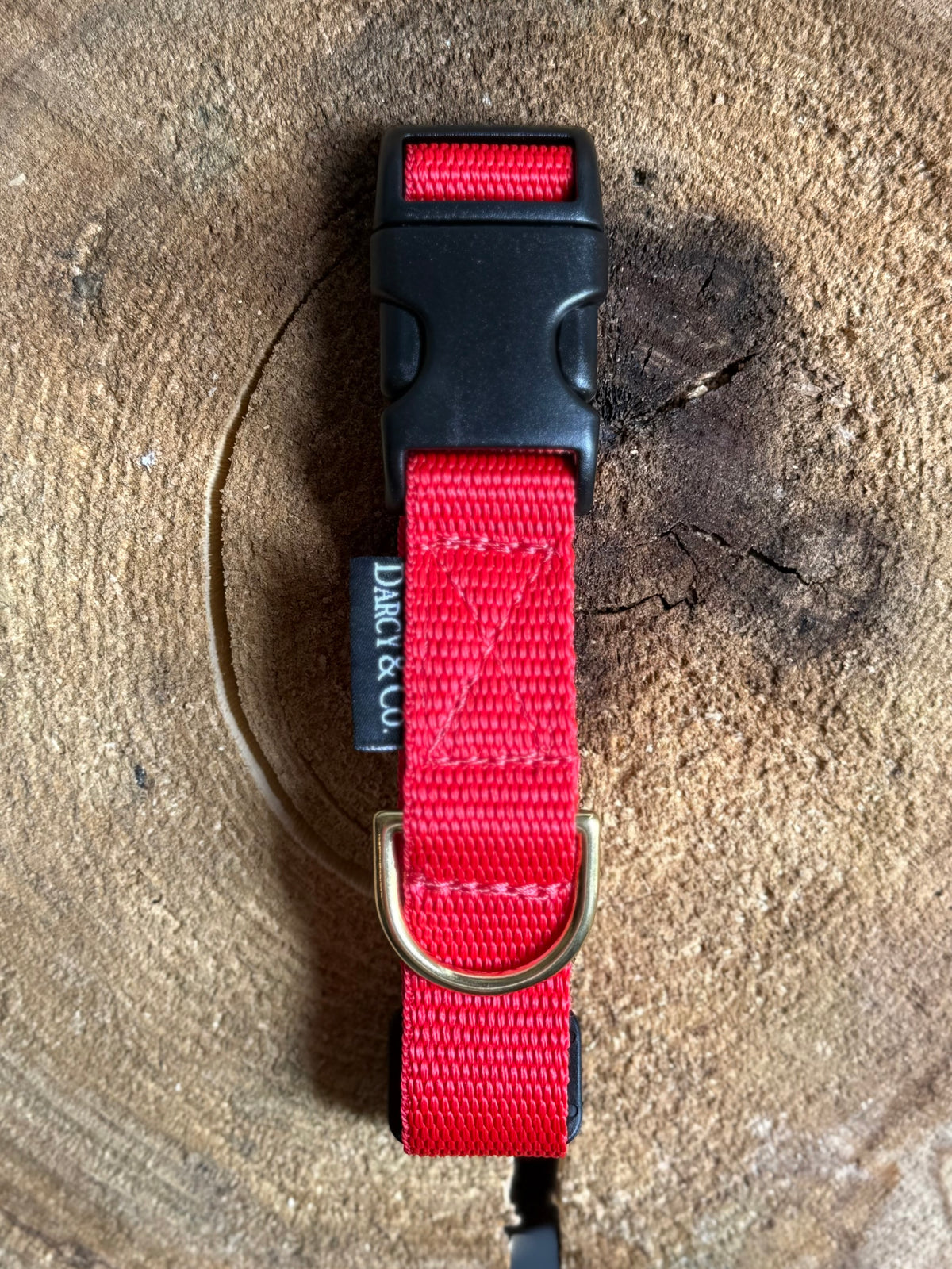Every Day Adventure Dog Collar | Solid Brass Hardware