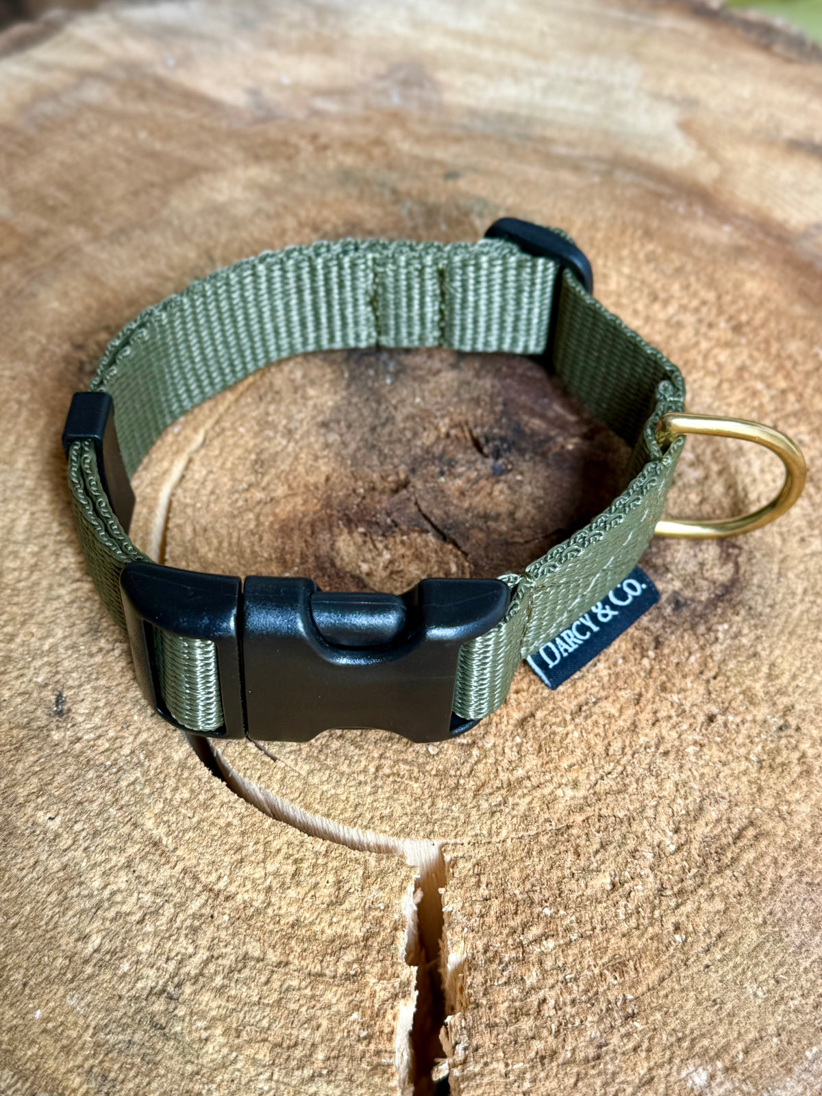 Every Day Adventure Dog Collar | Solid Brass Hardware